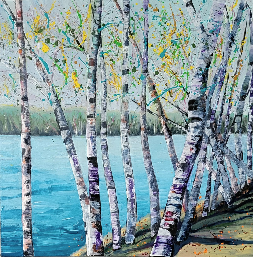 Birches on The Shore