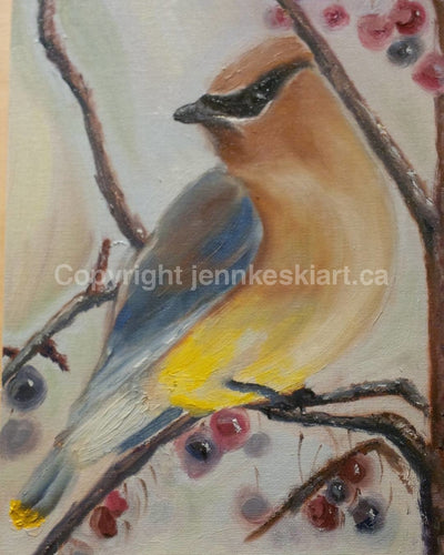 Cedar Waxwing Painting