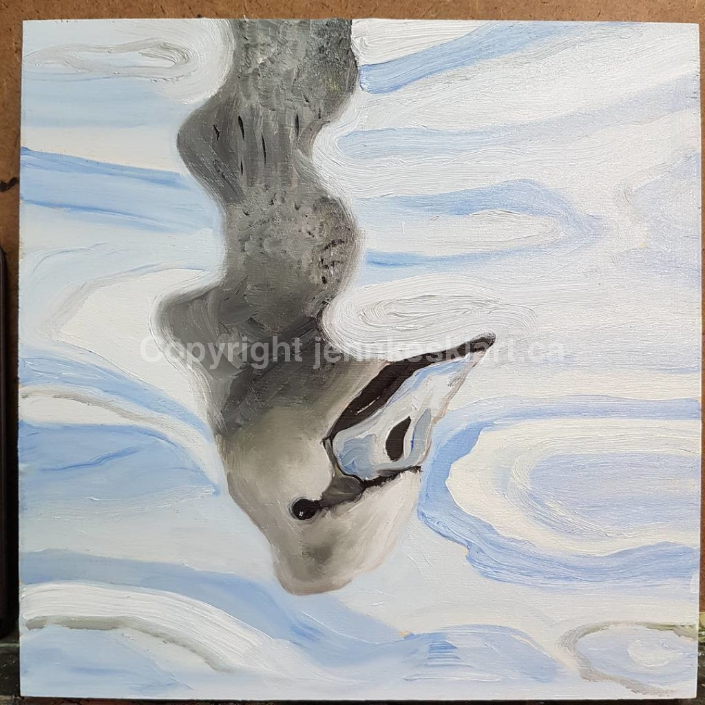 Reflected Cygnet Painting